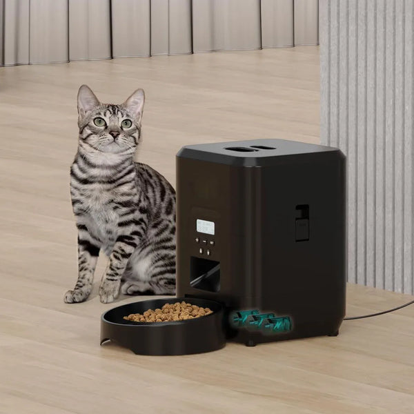 Smart Pet Meal Station